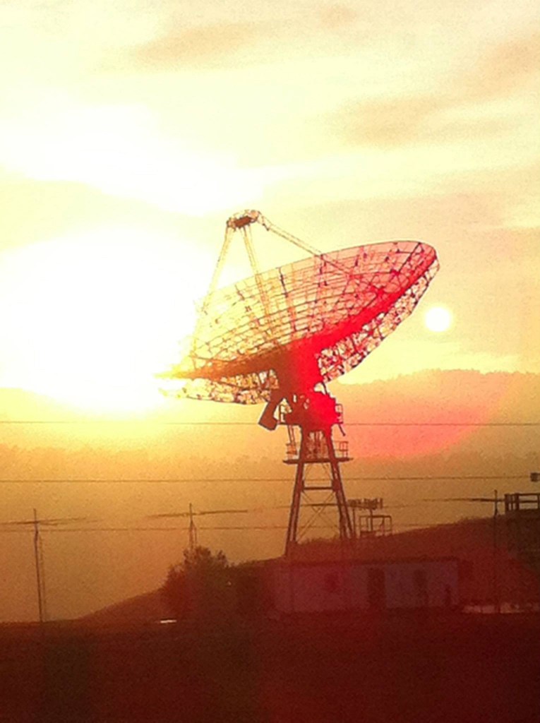 The Dish